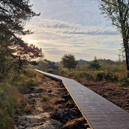 De Wilhelminaschool Aalten