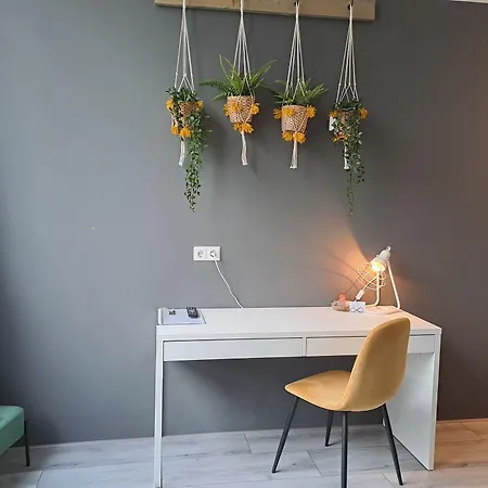 ベッド・アンド・ブレックファスト De Wilhelminaschool