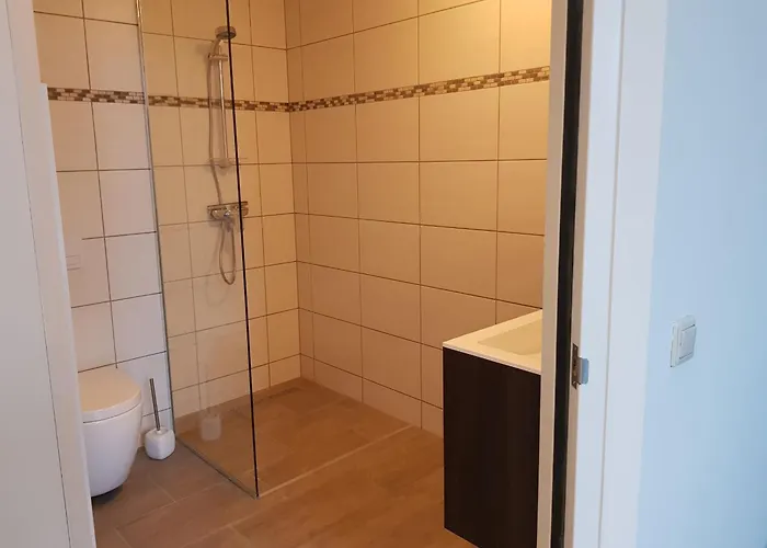 De Wilhelminaschool 3*