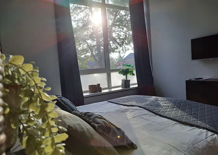 فندق مبيت وإفطار De Wilhelminaschool آلتن