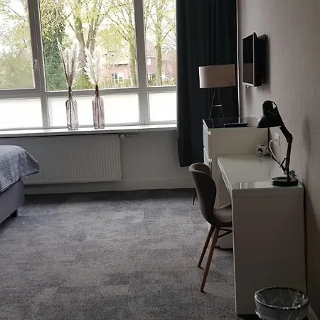 De Wilhelminaschool 3*