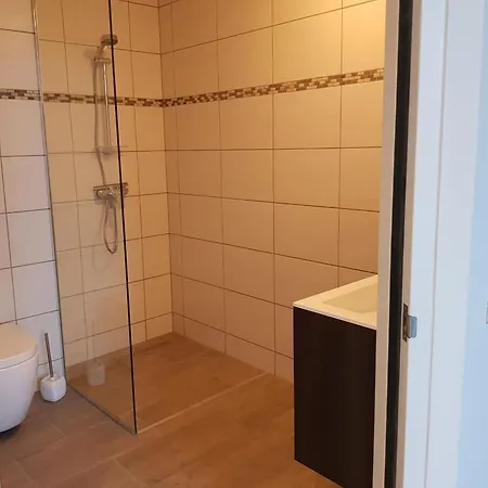 De Wilhelminaschool 3*