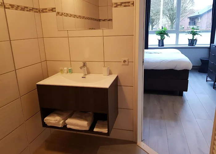 De Wilhelminaschool 3* アールテン